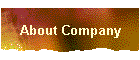 About Company